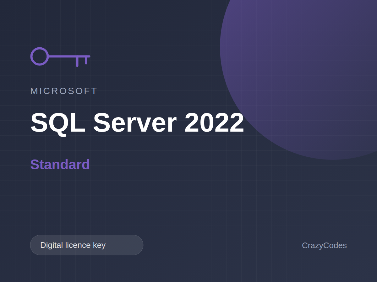 Microsoft SQL Server 2022 Standard — digital licence key from windows-keys.net