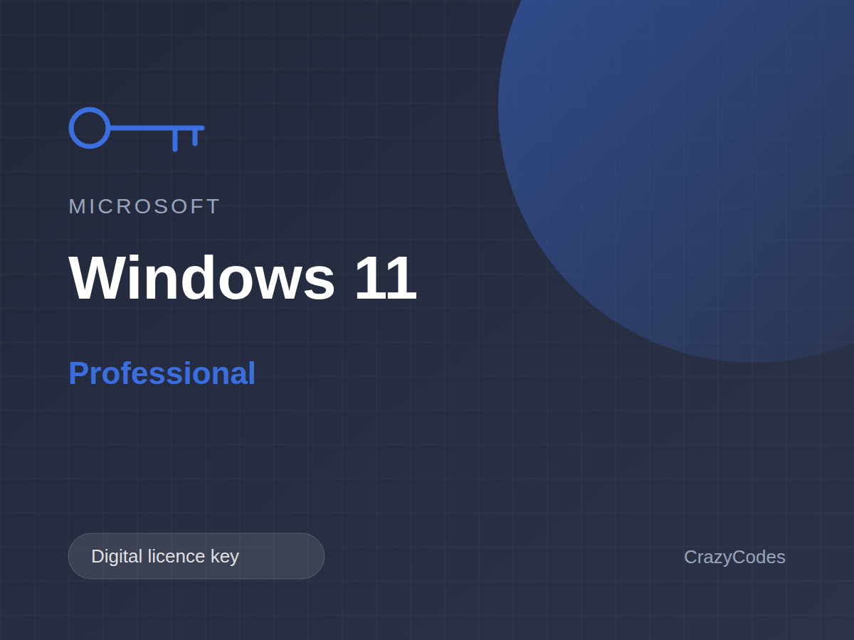 Microsoft Windows 11 Professional — digital licence key from windows-keys.net
