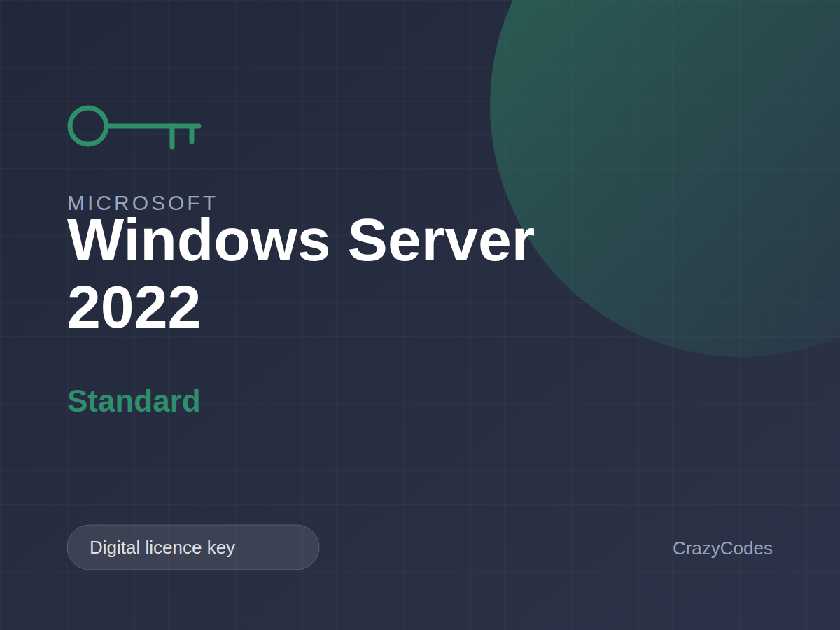 Microsoft Windows Server 2022 Standard — digital licence key from windows-keys.net